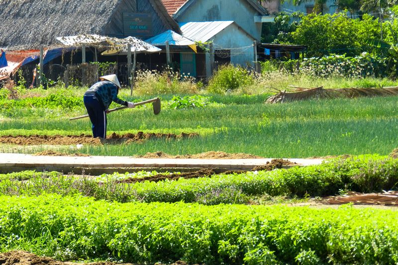 PRIVATE TOUR : DA NANG – HOI AN - HUE 6DAYS 5NIGHTS